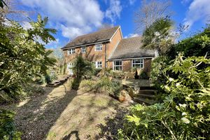 Photo 5- click for photo gallery